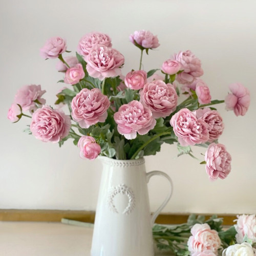 Hồng Phai Hồng Phai