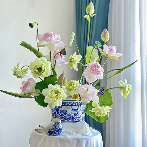 Tinh Khiết Tinh Khiết